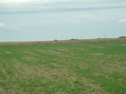 Poland field